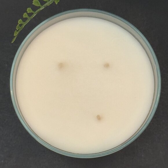 BBW Stress Relief Eucalyptus Spearmint Bath & Body Works 3 Wick Candle - Picture 7 of 10